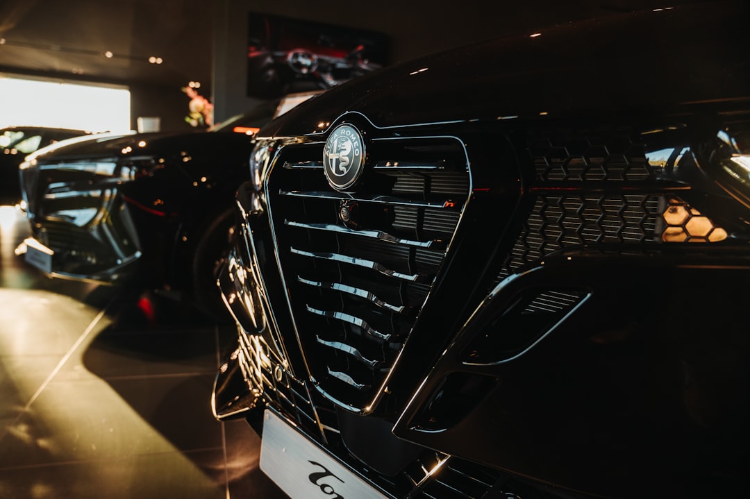 Close-up of a black luxury car grille